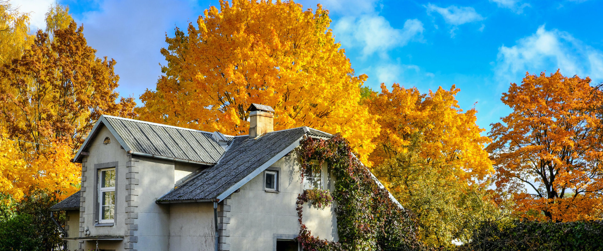 The Best Time to Move: Tips from a Moving Expert