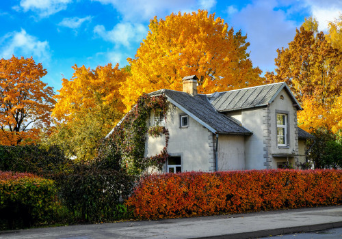 The Best Time to Move: Tips from a Moving Expert